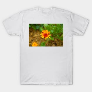 Orange Daisy Bloom T-Shirt